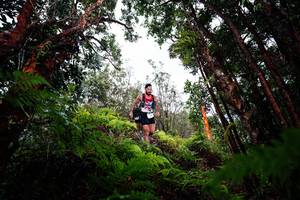 BIB: 
                            <button type="button" onclick="openModal(26201411)" class="btn btn-primary btn-sm float-right btn-popup" data-toggle="modal" data-target=".modal-high-quality">
                        <i class="fas fa-shopping-cart"></i> Add to Cart
                    </button>
                                            <button type="button" onclick="isThisMe(26201411, true)" class="btn btn-success btn-sm float-right btn-popup btn-isme hidden" data-toggle="tooltip" data-placement="bottom" title="นี่คือรูปของคุณใช่ไหม คลิกที่นี่เพื่อเอาเข้าอัลบั้ม">
                        <i class="fas fa-plus"></i> Add to album
                    </button>
                    <button type="button" onclick="isThisMe(26201411, false)" class="btn btn-warning btn-sm float-right btn-popup btn-isnotme hidden">
                        <i class="fas fa-ban"></i> Remove from album
                    </button>